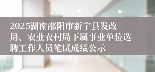 2025湖南邵阳市新宁县发改局、农业农村局下属事业单位选聘工作人员笔试成绩公示