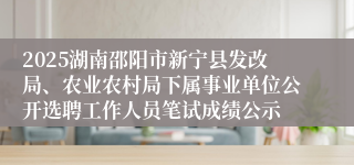 2025湖南邵阳市新宁县发改局、农业农村局下属事业单位公开选聘工作人员笔试成绩公示