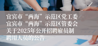 宜宾市“两海”示范区党工委 宜宾市“两海”示范区管委会 关于2025年公开招聘雇员制聘用人员的公告