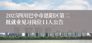 2025四川巴中市恩阳区第二批就业见习岗位11人公告