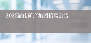 2025湖南矿产集团招聘公告