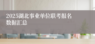 2025湖北事业单位联考报名数据汇总