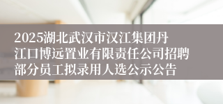 2025湖北武汉市汉江集团丹江口博远置业有限责任公司招聘部分员工拟录用人选公示公告