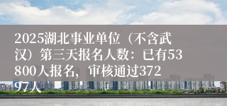 2025湖北事业单位（不含武汉）第三天报名人数：已有53800人报名，审核通过37297人