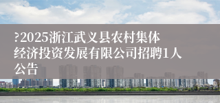 ?2025浙江武义县农村集体经济投资发展有限公司招聘1人公告