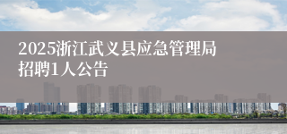 2025浙江武义县应急管理局招聘1人公告