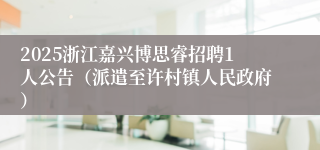 2025浙江嘉兴博思睿招聘1人公告（派遣至许村镇人民政府）