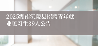 2025湖南沅陵县招聘青年就业见习生39人公告