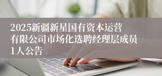 2025新疆新星国有资本运营有限公司市场化选聘经理层成员1人公告