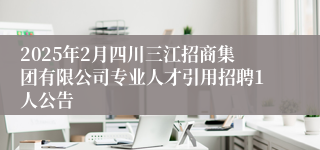 2025年2月四川三江招商集团有限公司专业人才引用招聘1人公告