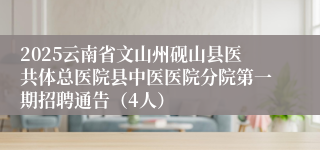 2025云南省文山州砚山县医共体总医院县中医医院分院第一期招聘通告（4人）