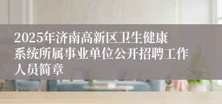 2025年济南高新区卫生健康系统所属事业单位公开招聘工作人员简章