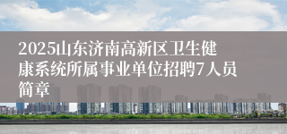 2025山东济南高新区卫生健康系统所属事业单位招聘7人员简章