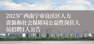 2025广西南宁市良庆区人力资源和社会保障局公益性岗位人员招聘1人公告
