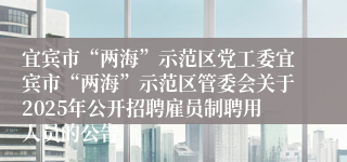 宜宾市“两海”示范区党工委宜宾市“两海”示范区管委会关于2025年公开招聘雇员制聘用人员的公告
