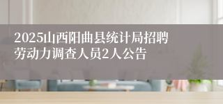 2025山西阳曲县统计局招聘劳动力调查人员2人公告