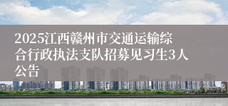 2025江西赣州市交通运输综合行政执法支队招募见习生3人公告
