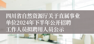 四川省自然资源厅关于直属事业单位2024年下半年公开招聘工作人员拟聘用人员公示