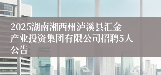 2025湖南湘西州泸溪县汇金产业投资集团有限公司招聘5人公告