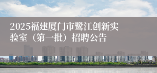 2025福建厦门市鹭江创新实验室（第一批）招聘公告