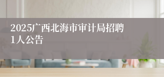 2025广西北海市审计局招聘1人公告