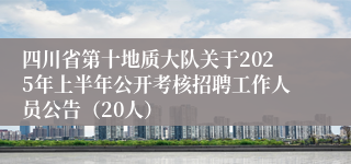 四川省第十地质大队关于2025年上半年公开考核招聘工作人员公告（20人）