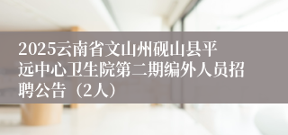 2025云南省文山州砚山县平远中心卫生院第二期编外人员招聘公告（2人）