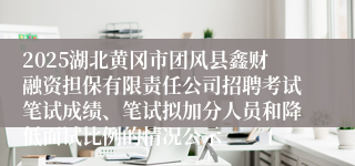 2025湖北黄冈市团风县鑫财融资担保有限责任公司招聘考试笔试成绩、笔试拟加分人员和降低面试比例的情况公示