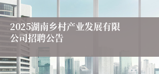 2025湖南乡村产业发展有限公司招聘公告