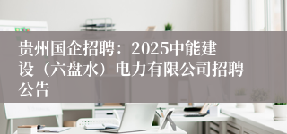 贵州国企招聘：2025中能建设（六盘水）电力有限公司招聘公告