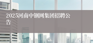 2025河南中钢网集团招聘公告