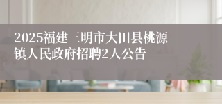 2025福建三明市大田县桃源镇人民政府招聘2人公告