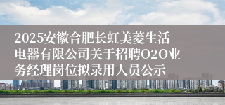 2025安徽合肥长虹美菱生活电器有限公司关于招聘O2O业务经理岗位拟录用人员公示