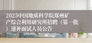 2025中国地质科学院郑州矿产综合利用研究所招聘（第一批）递补面试人员公告