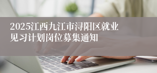 2025江西九江市浔阳区就业见习计划岗位募集通知