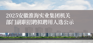 2025安徽淮海实业集团机关部门副职招聘拟聘用人选公示