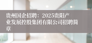 贵州国企招聘：2025贵阳产业发展控股集团有限公司招聘简章
