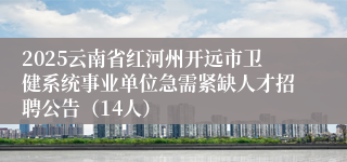 2025云南省红河州开远市卫健系统事业单位急需紧缺人才招聘公告（14人）
