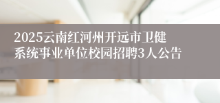 2025云南红河州开远市卫健系统事业单位校园招聘3人公告