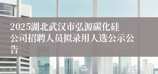 2025湖北武汉市弘源碳化硅公司招聘人员拟录用人选公示公告