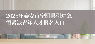 2025年泰安市宁阳县引进急需紧缺青年人才报名入口