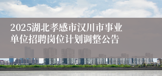 2025湖北孝感市汉川市事业单位招聘岗位计划调整公告