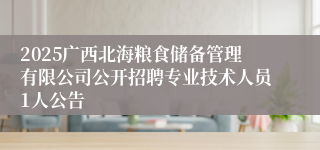 2025广西北海粮食储备管理有限公司公开招聘专业技术人员1人公告