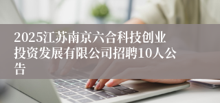 2025江苏南京六合科技创业投资发展有限公司招聘10人公告