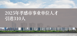 2025年孝感市事业单位人才引进310人