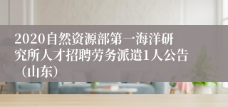 2020自然资源部第一海洋研究所人才招聘劳务派遣1人公告（山东）