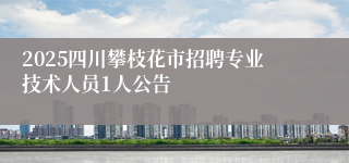 2025四川攀枝花市招聘专业技术人员1人公告