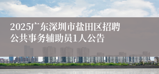 2025广东深圳市盐田区招聘公共事务辅助员1人公告