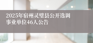 2025年宿州灵璧县公开选调事业单位46人公告