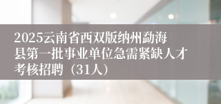 2025云南省西双版纳州勐海县第一批事业单位急需紧缺人才考核招聘（31人）
